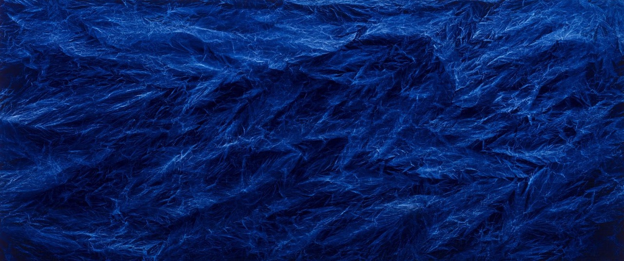  Cyanotype技法，造出藍色感光效果，吳季璁適當應用在他的水墨畫𥚃。