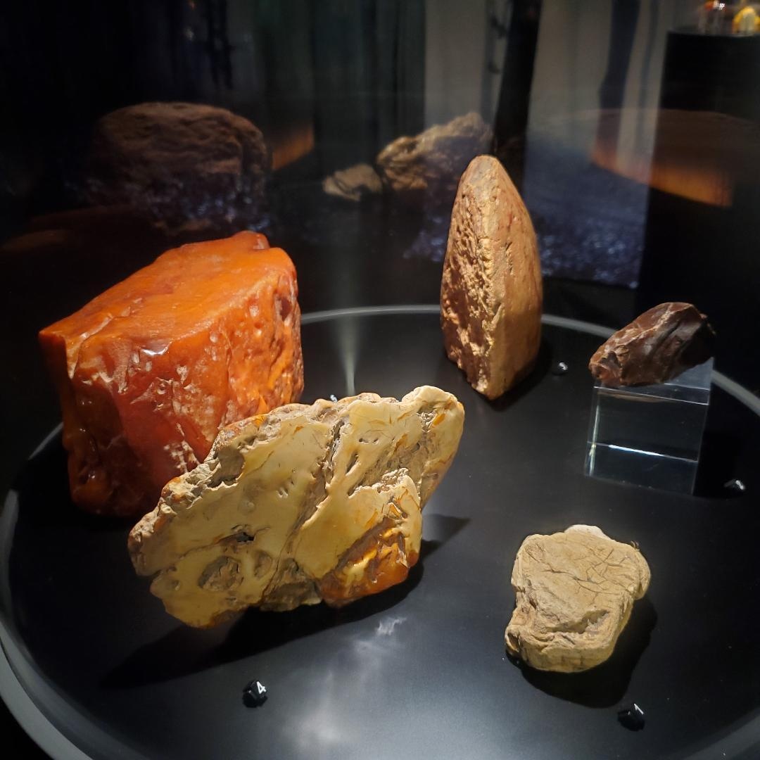 琥珀是樹脂化石，卻在藝術文化、政治、宗教等方面扮演了極為重要的角色。展覽展出內含物的琥珀，以及有多種顏色與形狀的琥珀。
