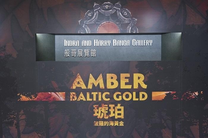般哥展覽館全新展覽《琥珀:波羅的海黃金》