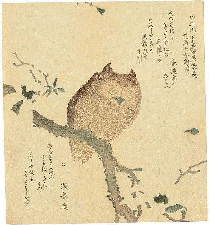 窪俊満《花枝上的雕鴞》(估價:6,000-8,000美元)