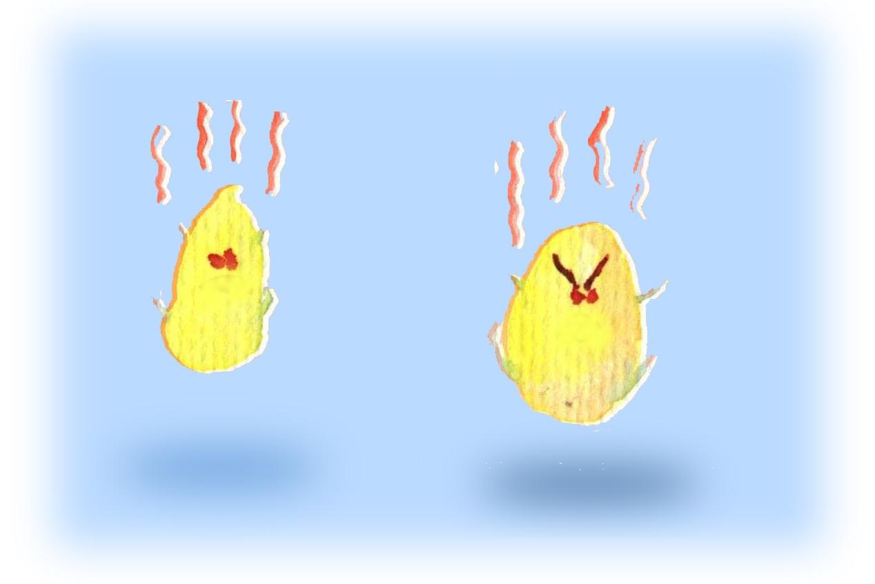 插圖:馮禮慈